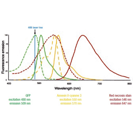 GFP-CERTIFIED® Apoptosis/Necrosis detection kit